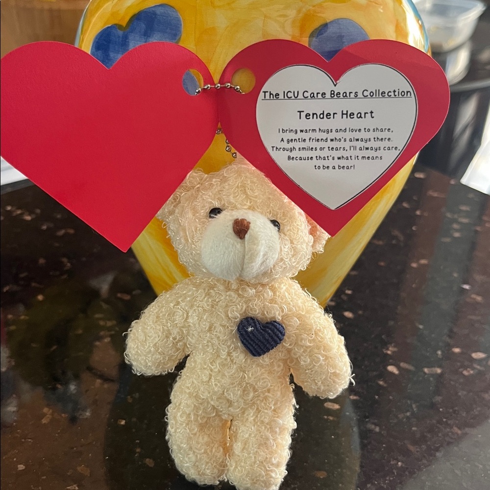 Rare ICU Care Bears Cream Stuffed Animal with Navy Heart